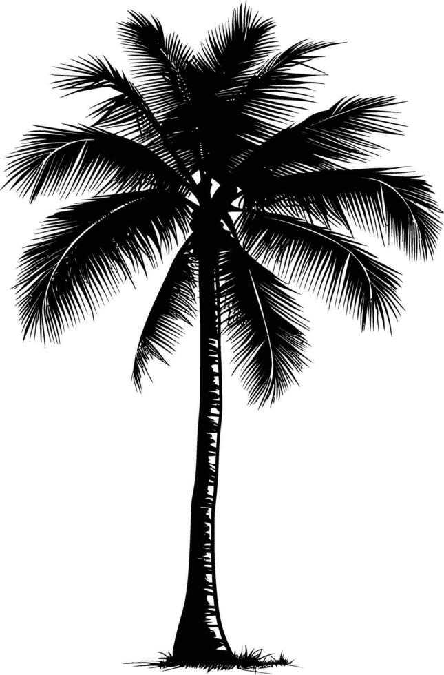 AI generated silhouette coconut tree black color only vector