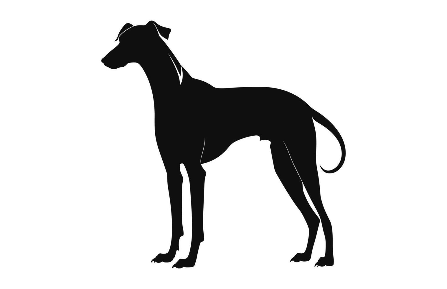 galgo perro vector negro silueta gratis