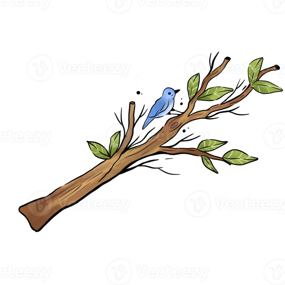 a bird on the tree illustation png