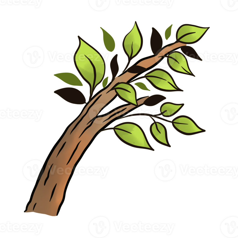 spring tree illustration png