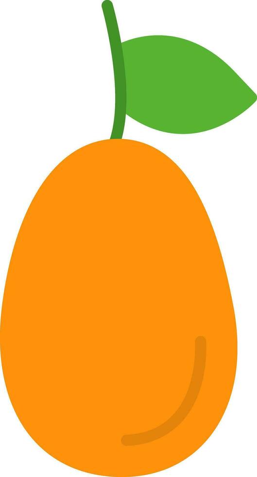 Kumquat Flat Icon vector