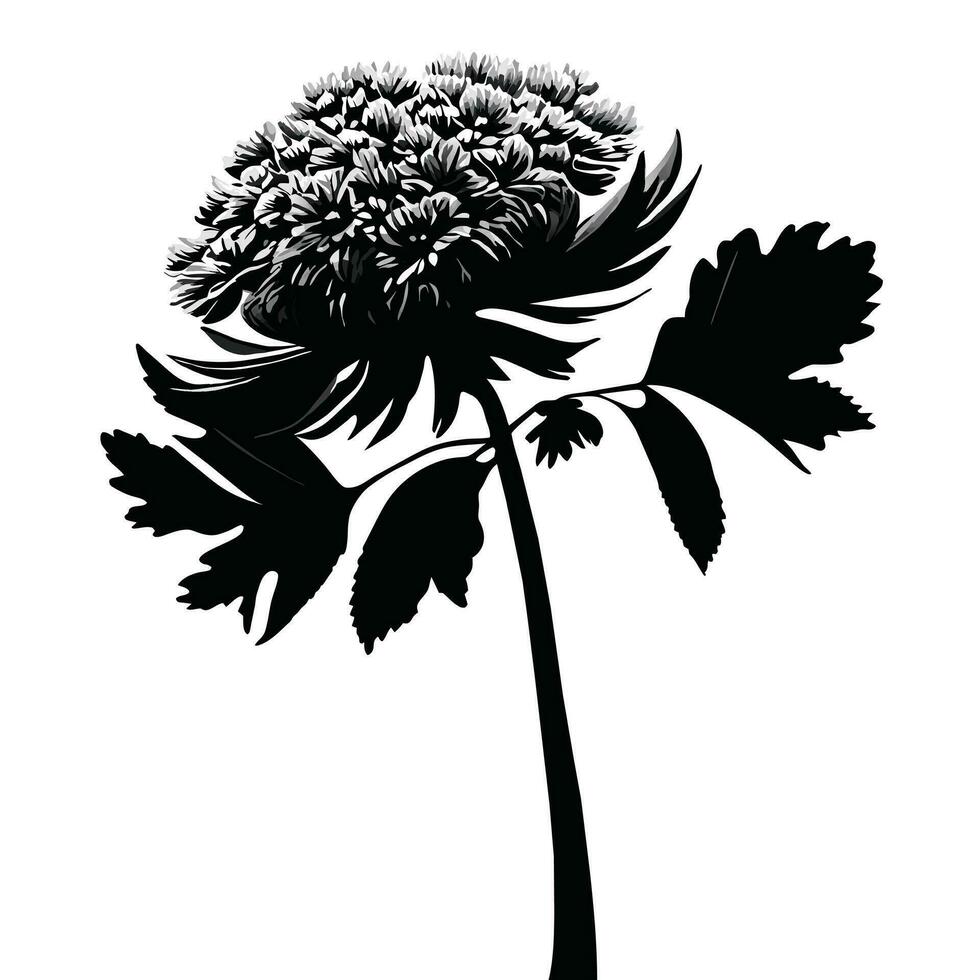 Beautiful black and white vector botanical illustration with decorative leaves.