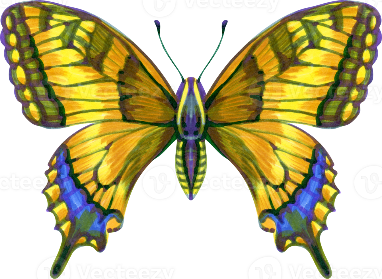 waterverf en inkt schilderij van een oostelijk tijger zwaluwstaart png