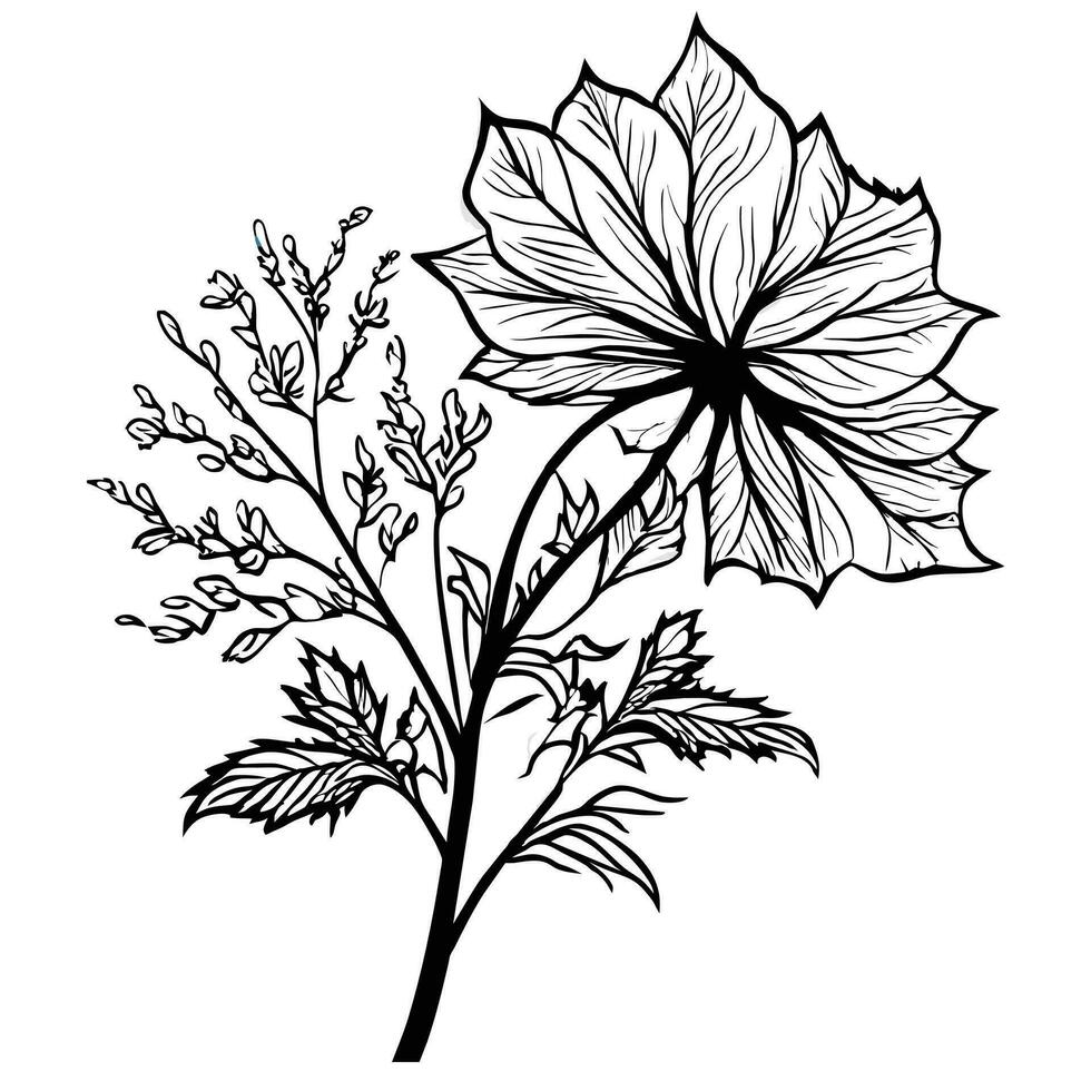 Beautiful black and white vector botanical illustration with decorative leaves.