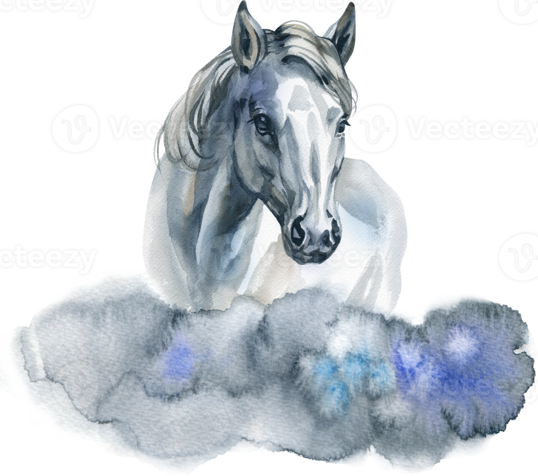 Watercolor picture of horse with clouds. Hand drawn illustration png