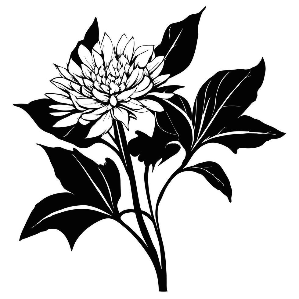 Beautiful black and white vector botanical illustration with decorative leaves.