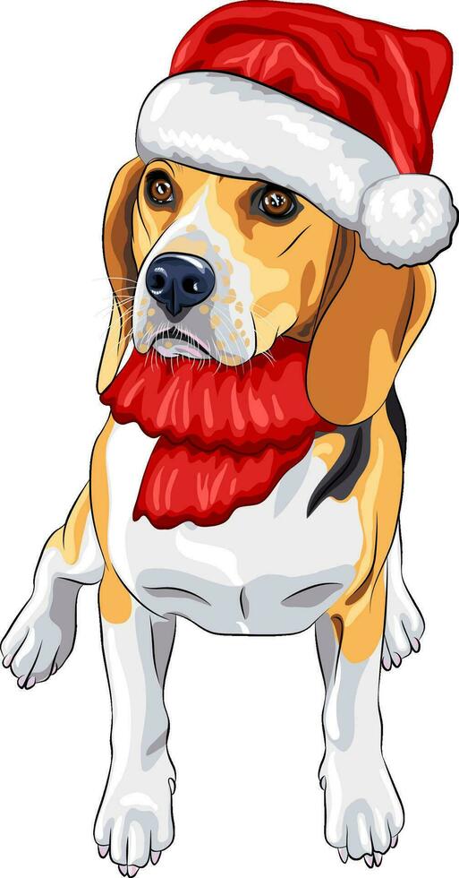 dog Beagle in hat of Santa Claus vector