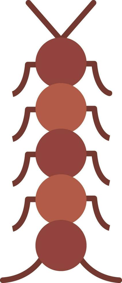 Insect Flat Icon vector