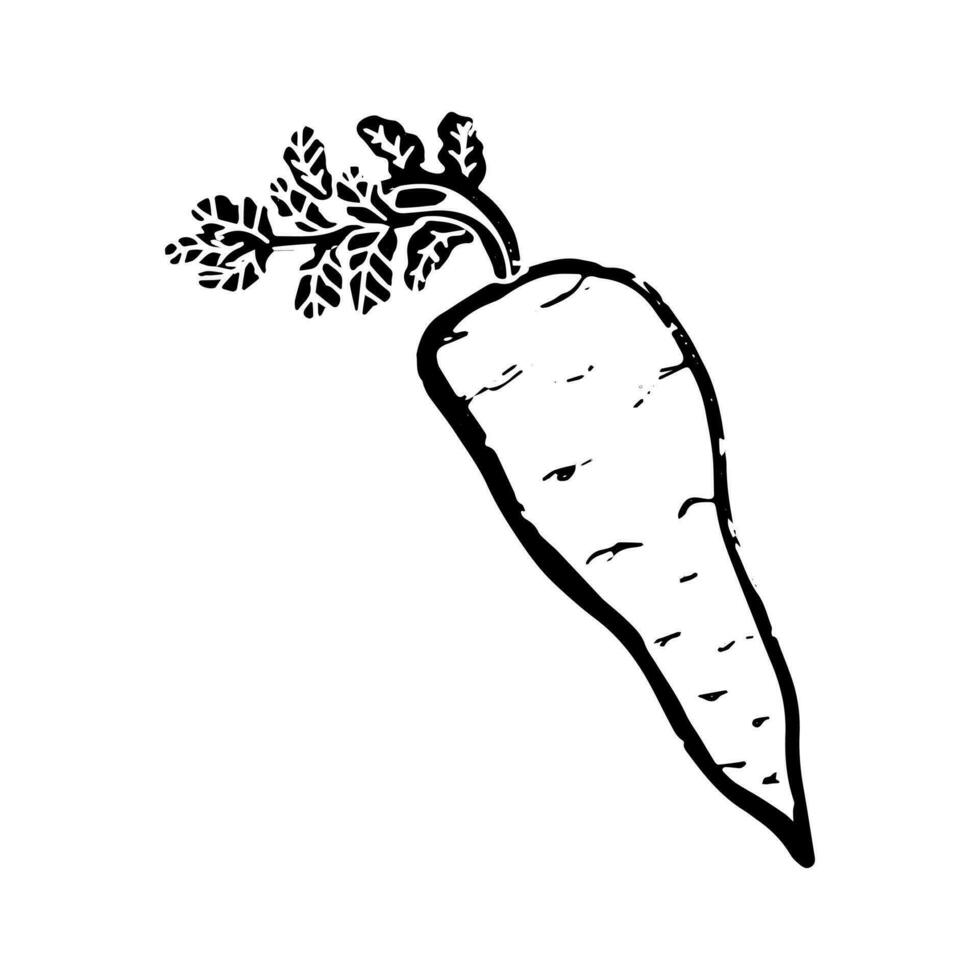 a black and white drawing of a carrot vector