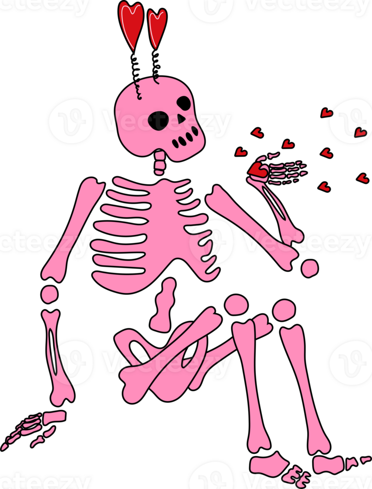 Funny Skeleton with decor for Valentine's day. Cute character Skeleton Bones png