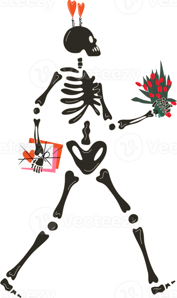 Funny Skeleton with decor for Valentine's day. Cute character Skeleton Bones png