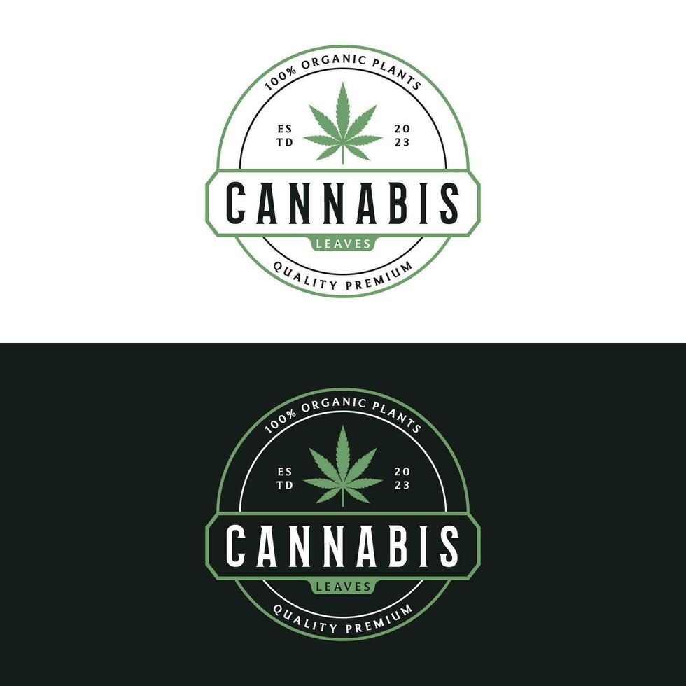 Premium quality cannabis organic plant logo retro vintage template design. vector