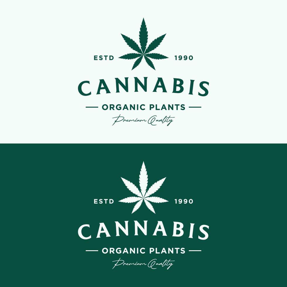 Premium quality cannabis organic plant logo retro vintage template design. vector