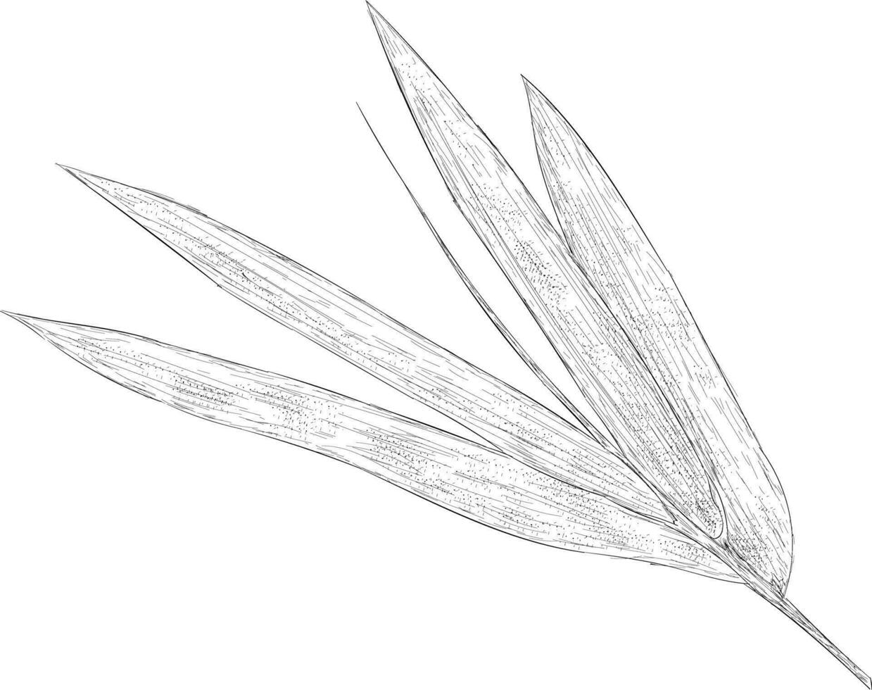 Trendy Bamboo Leaves vector