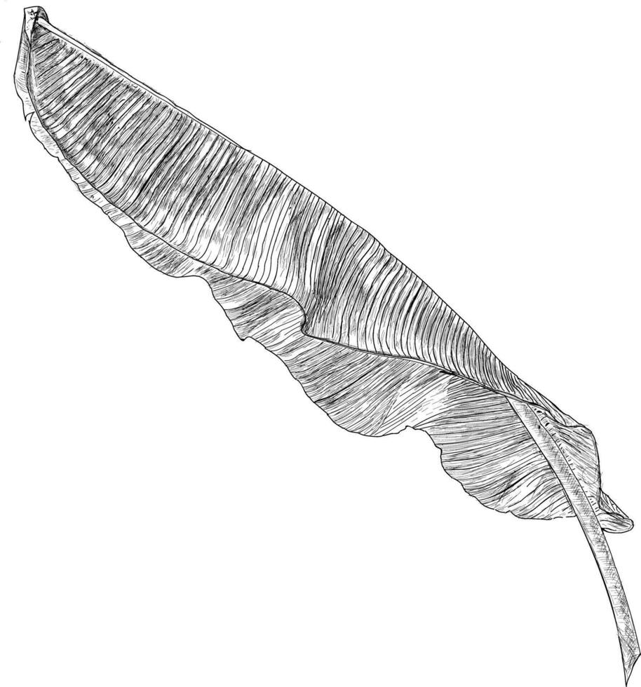 Trendy Linear Leaf vector