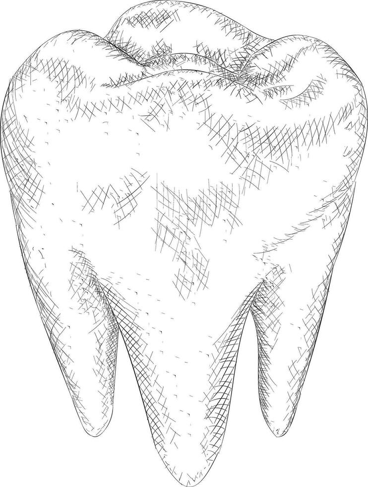 Trendy Tooth Concepts vector