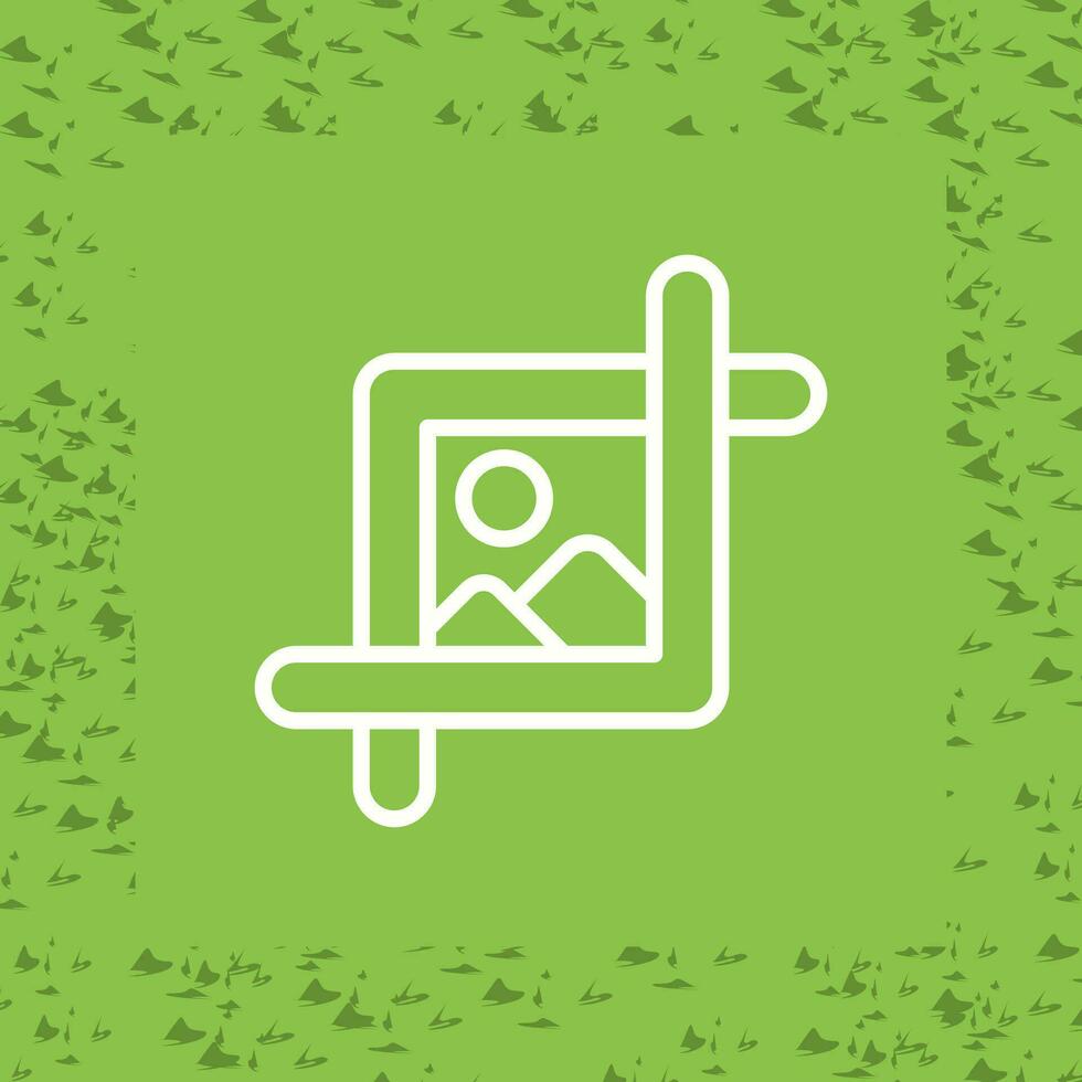 Image Vector Icon
