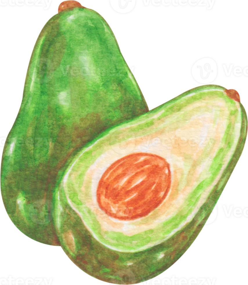 watercolor avocado sticker clip art png