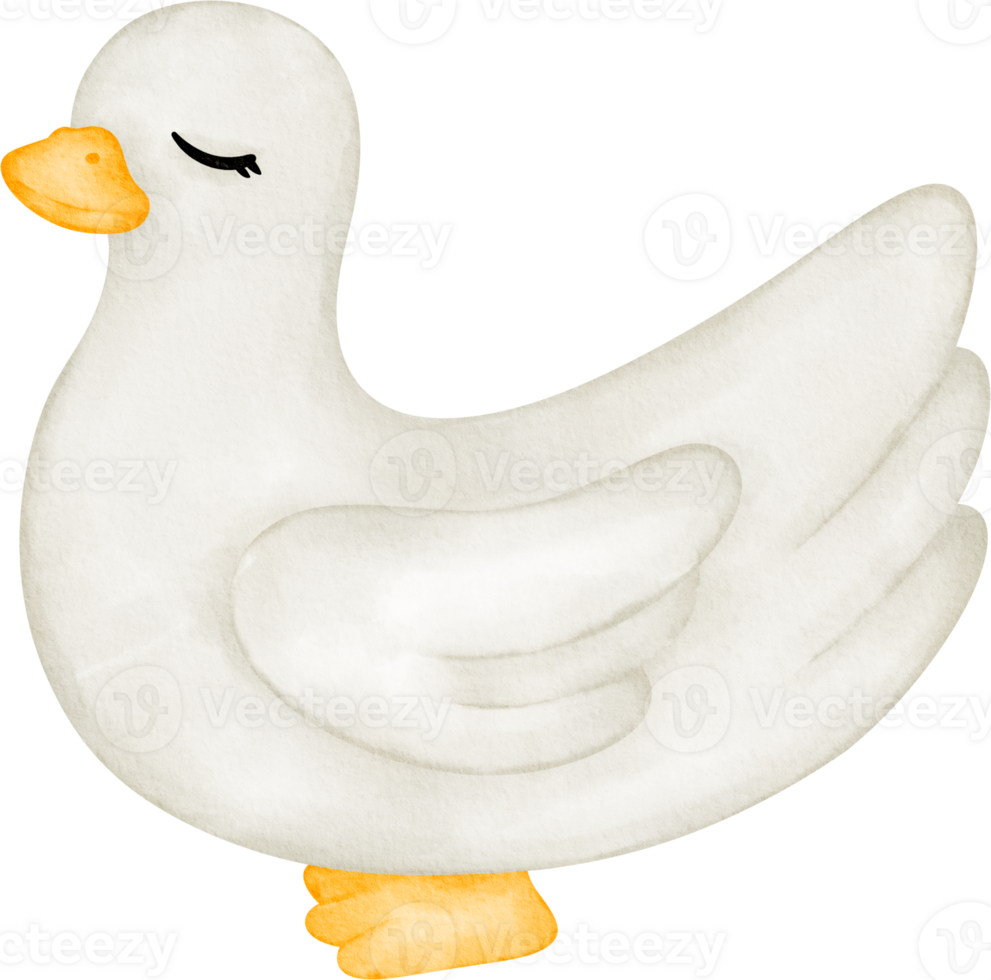 watercolor duck farm png