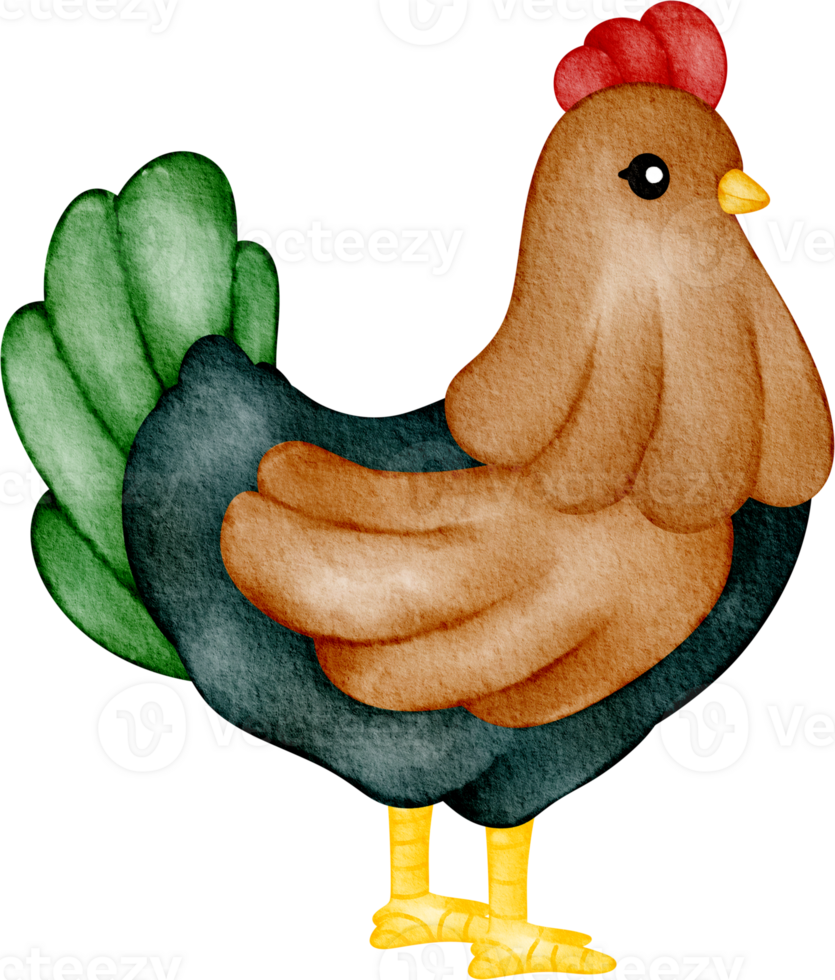 watercolor chicken farm png