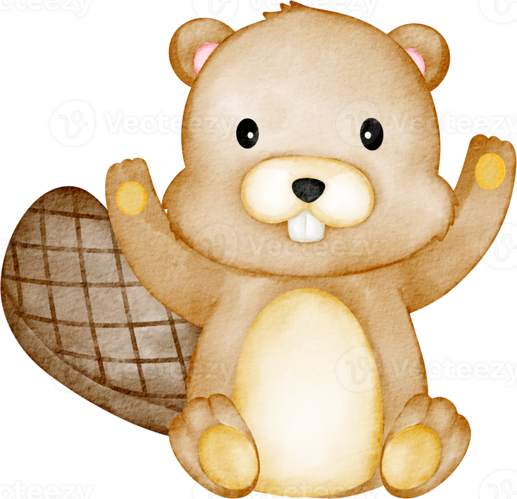 watercolor beaver animal png