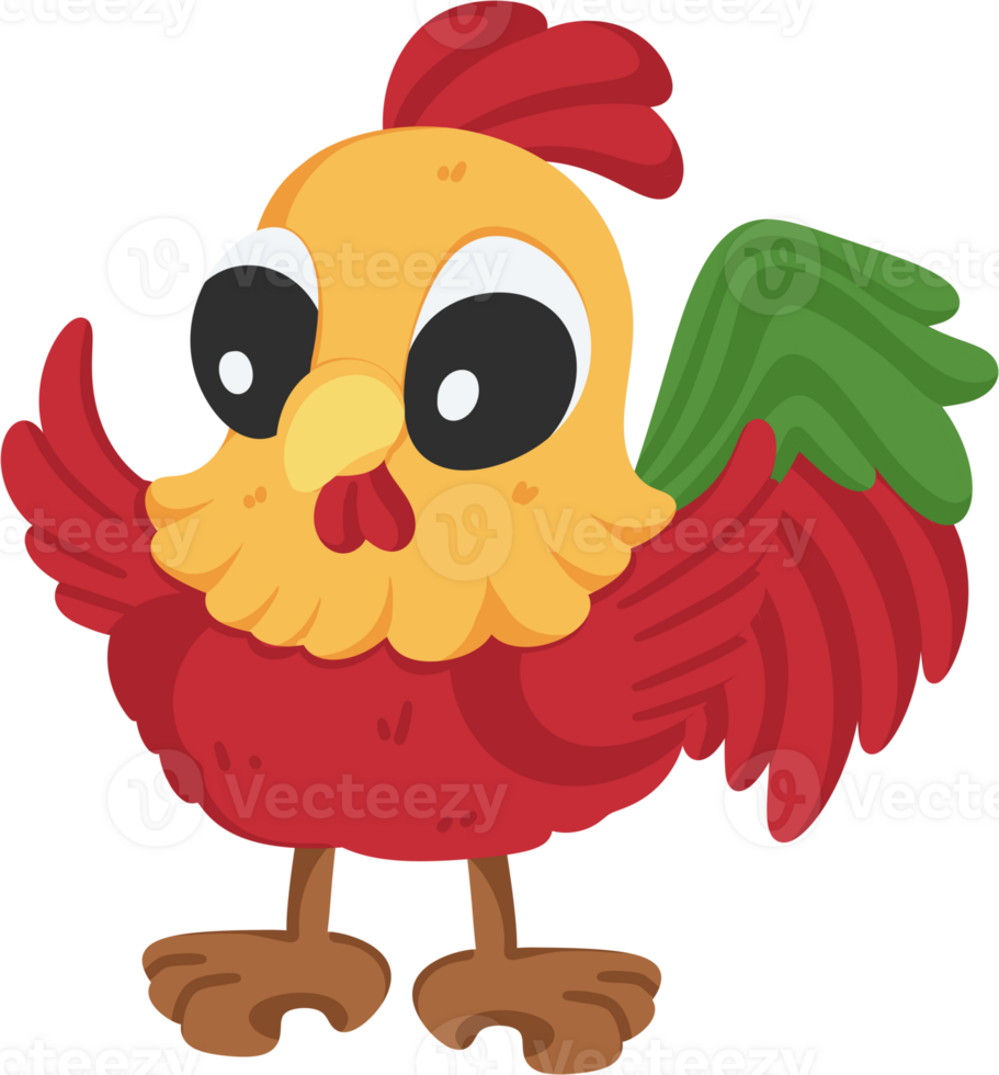 chicken cartoon illustration png