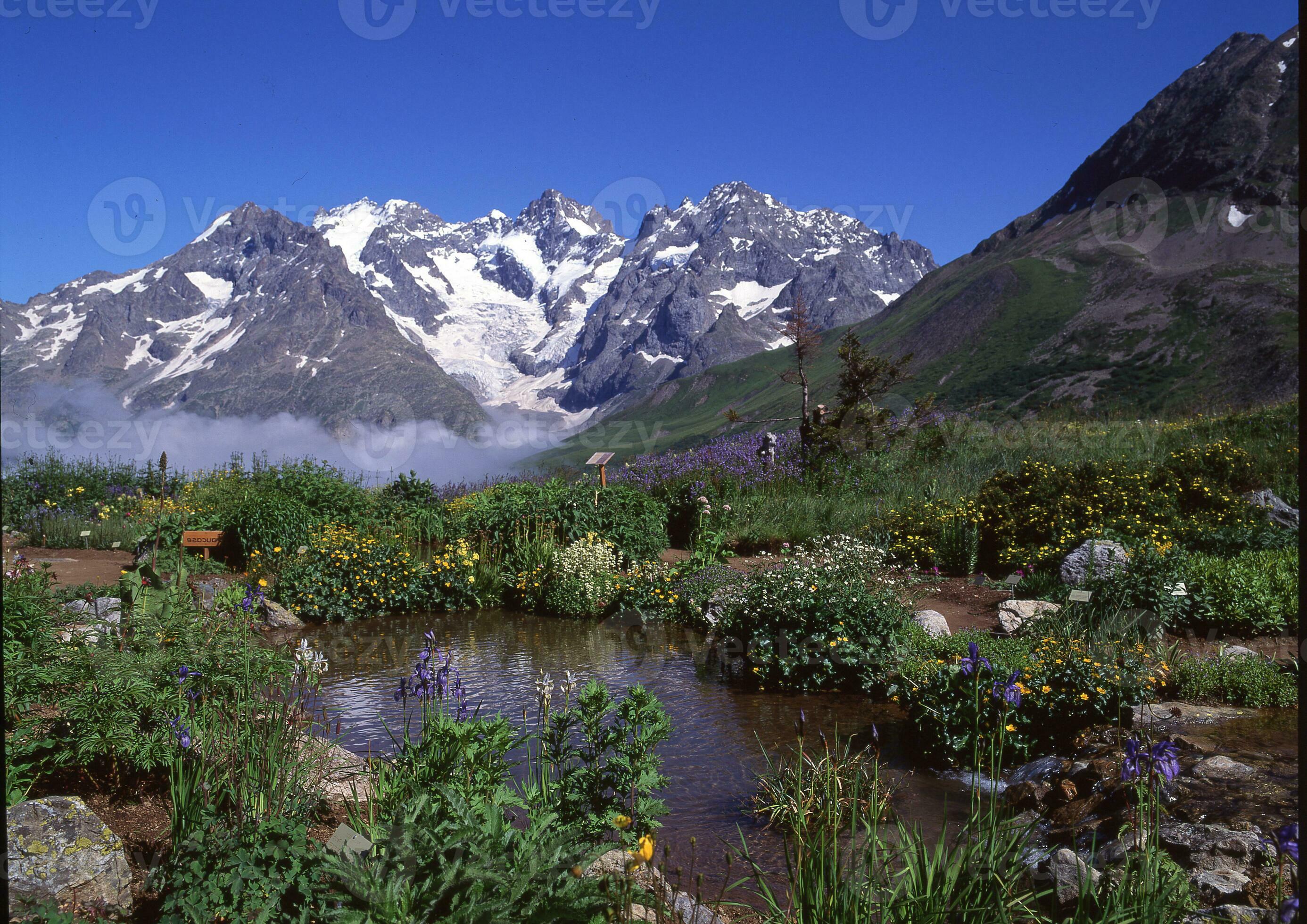 a pond surrounded by flowers and mountains 36907566 Stock