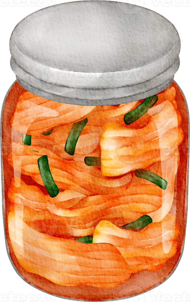 acquerello cibo kimchi png