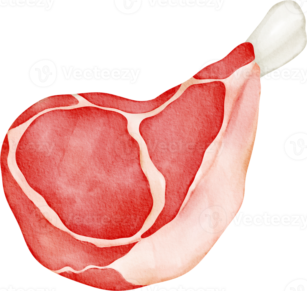 watercolor food Lamb png