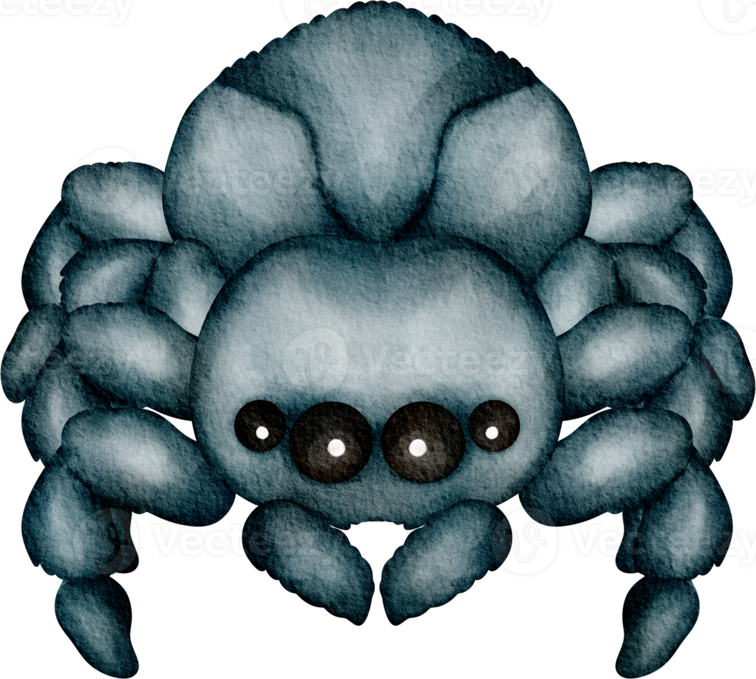 spider clip art 36908630 PNG