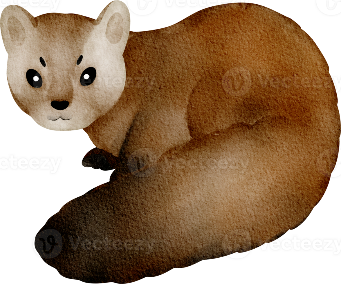 watercolor Marten clip art png