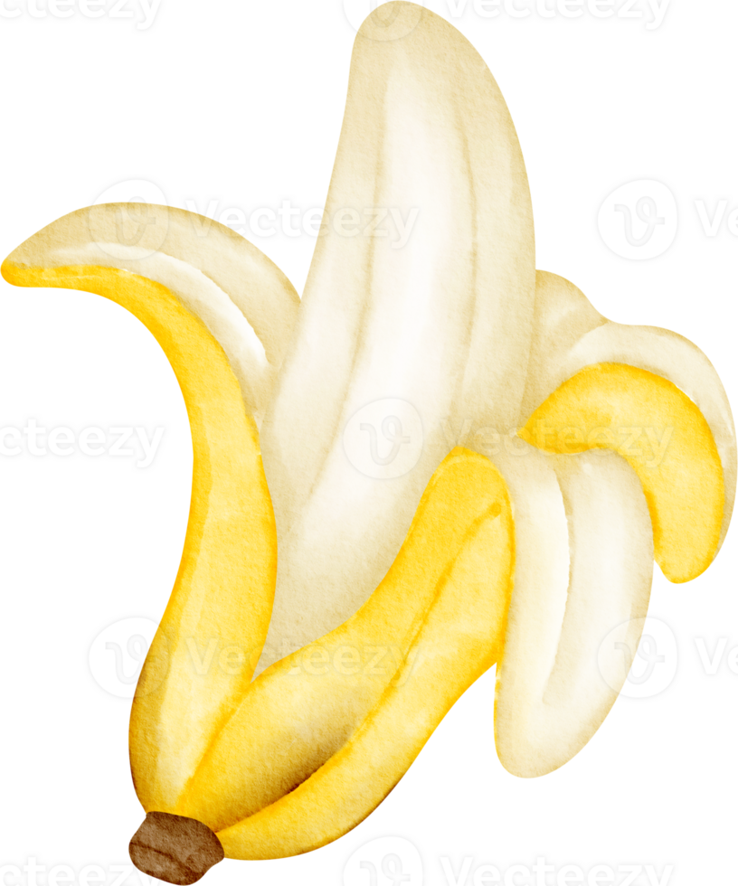 watercolor fruit banana png