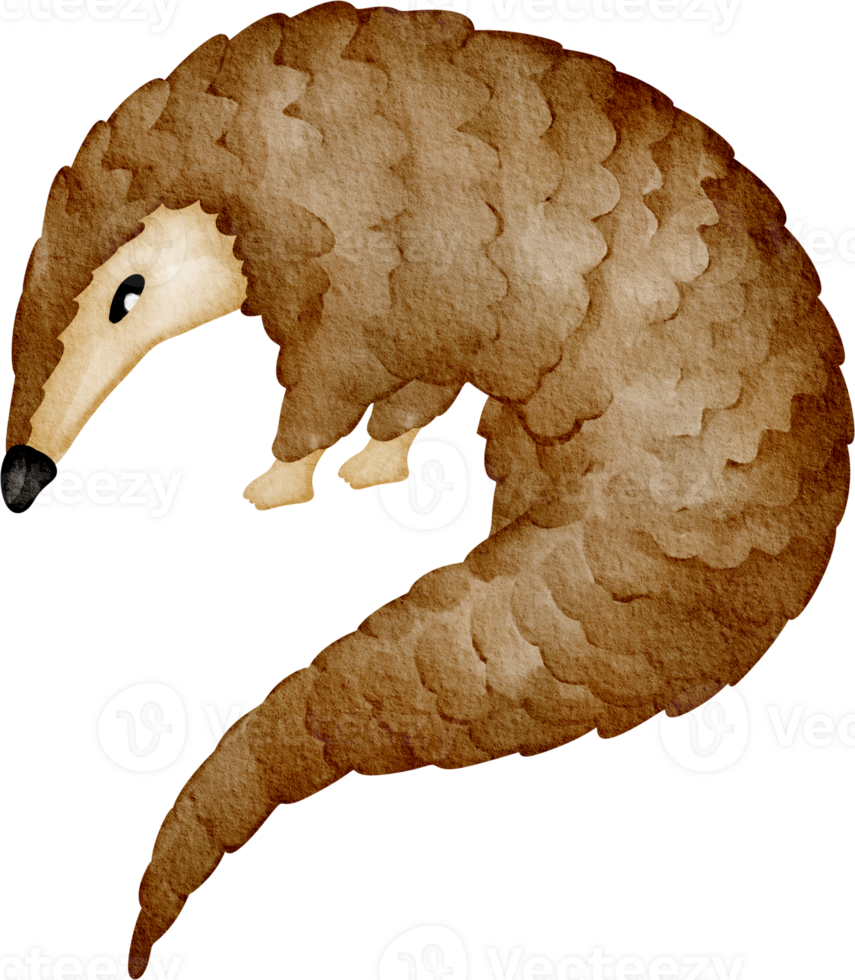 watercolor Pangolin clip art png