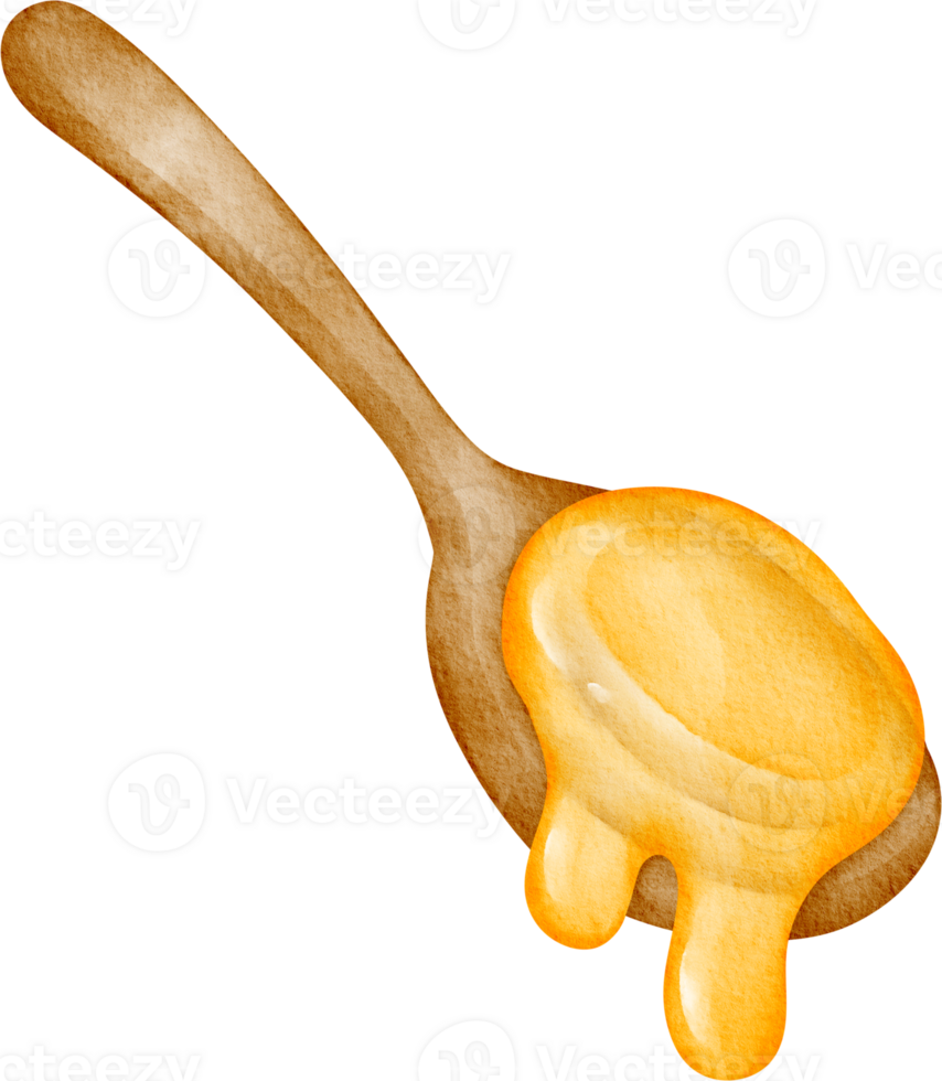honey spoon clip art png