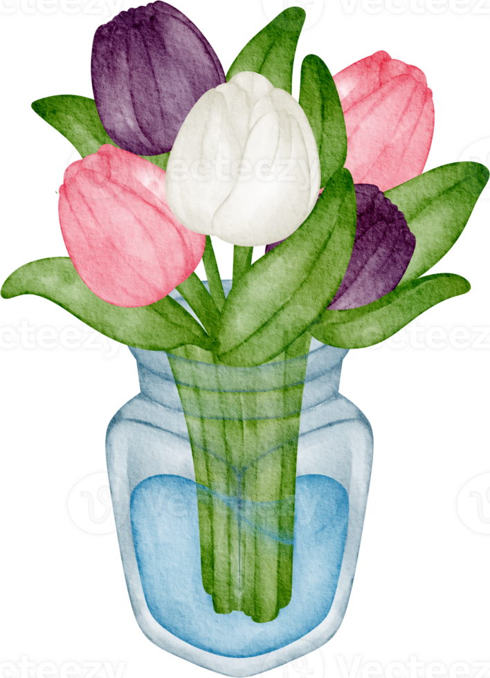 watercolor multi color tulips png