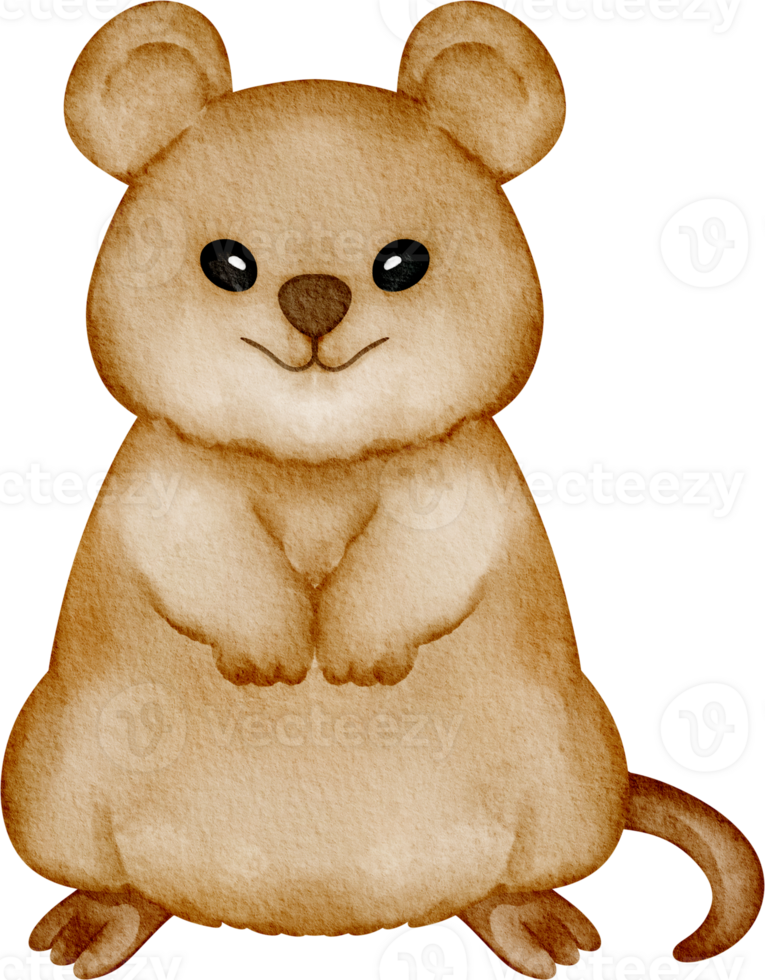 Quokka clip art png