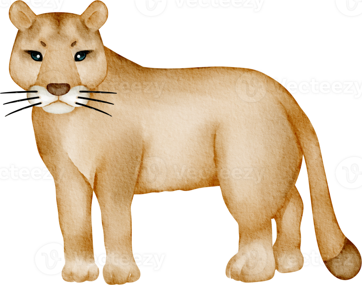 puma clip art png