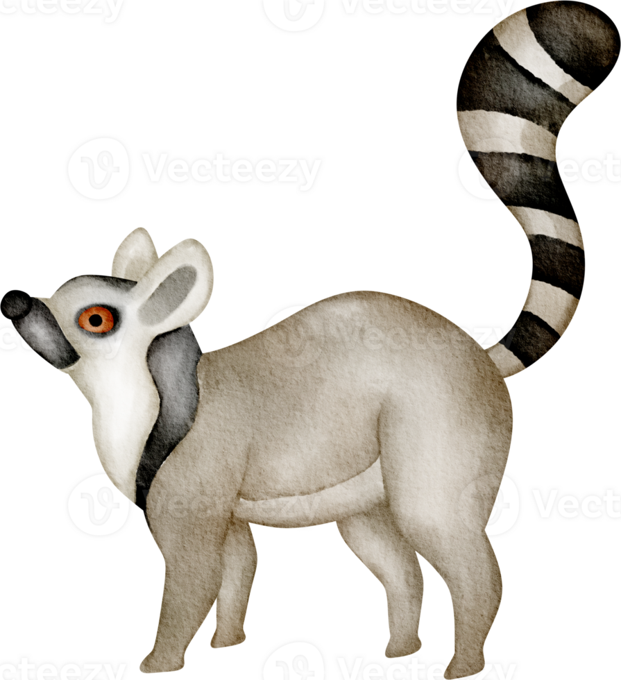 lemur clip art png