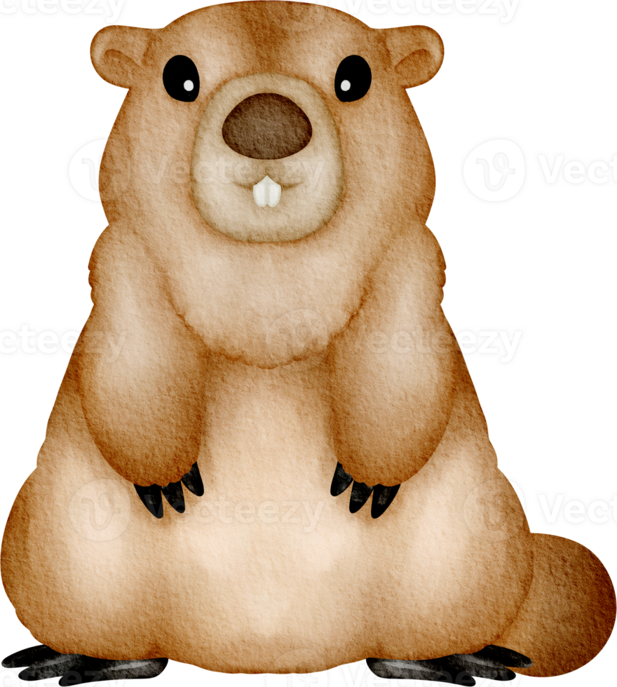 groundhog clip art png