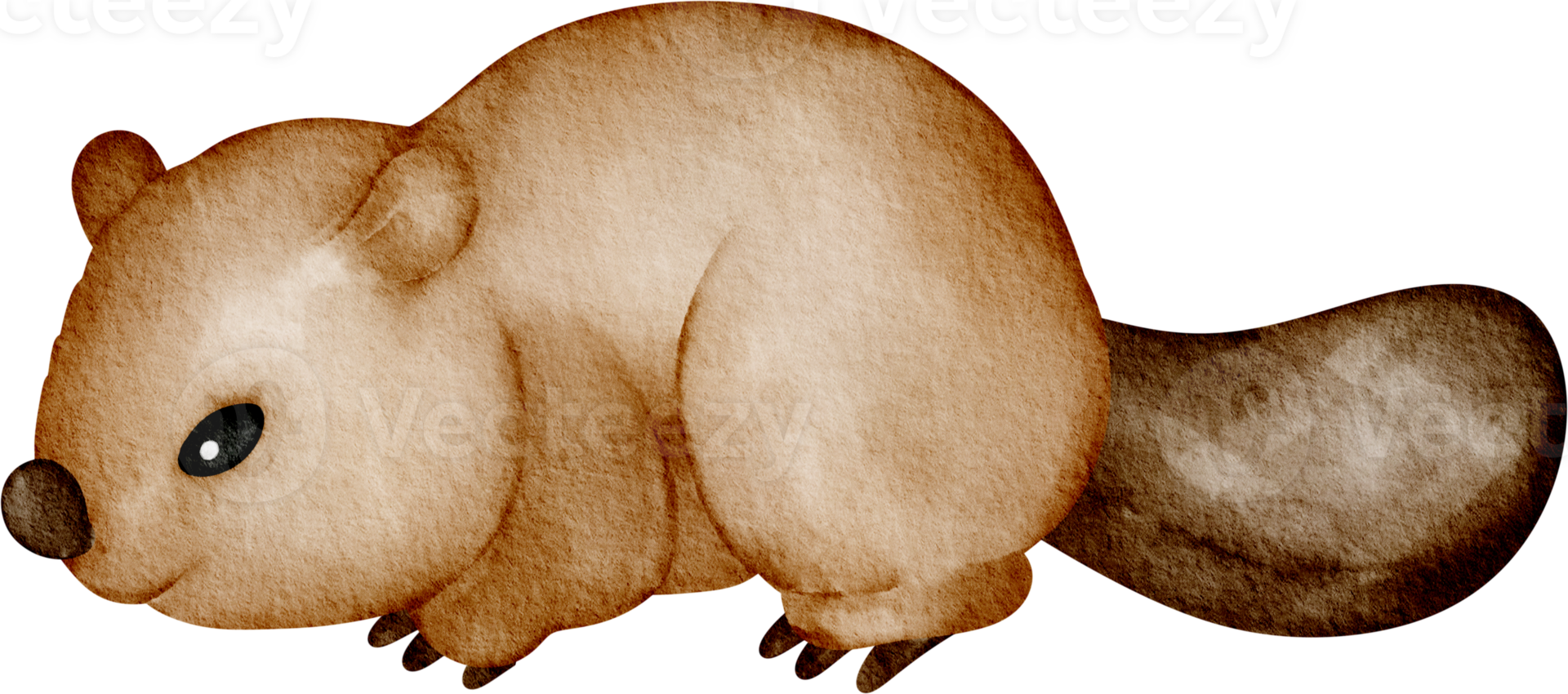 beaver clip art png