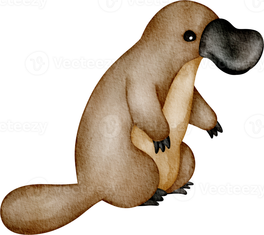 platypus clip art png