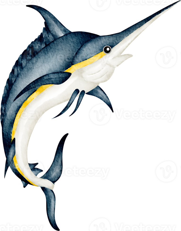 vattenfärg hav djur- svärdfisk png