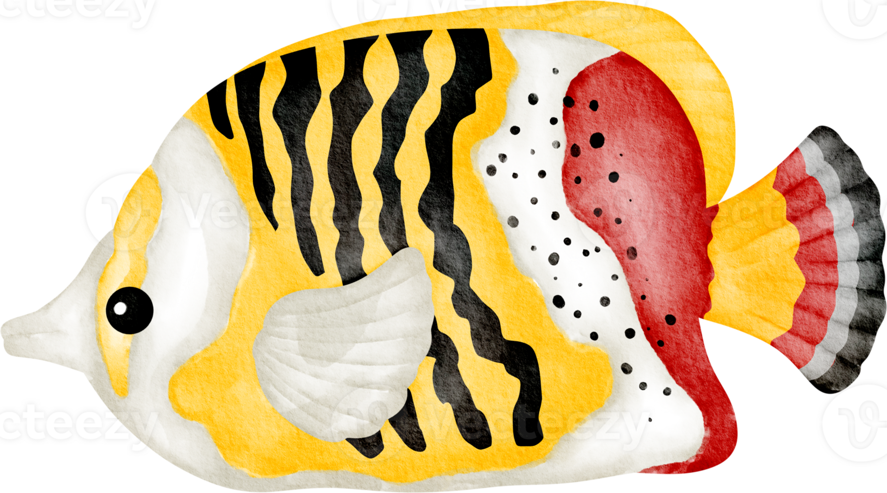 Watercolor Sea Animal Aquarium Fish 36909177 PNG watercolor-sea-animal-aquarium-fish-36909177-png
