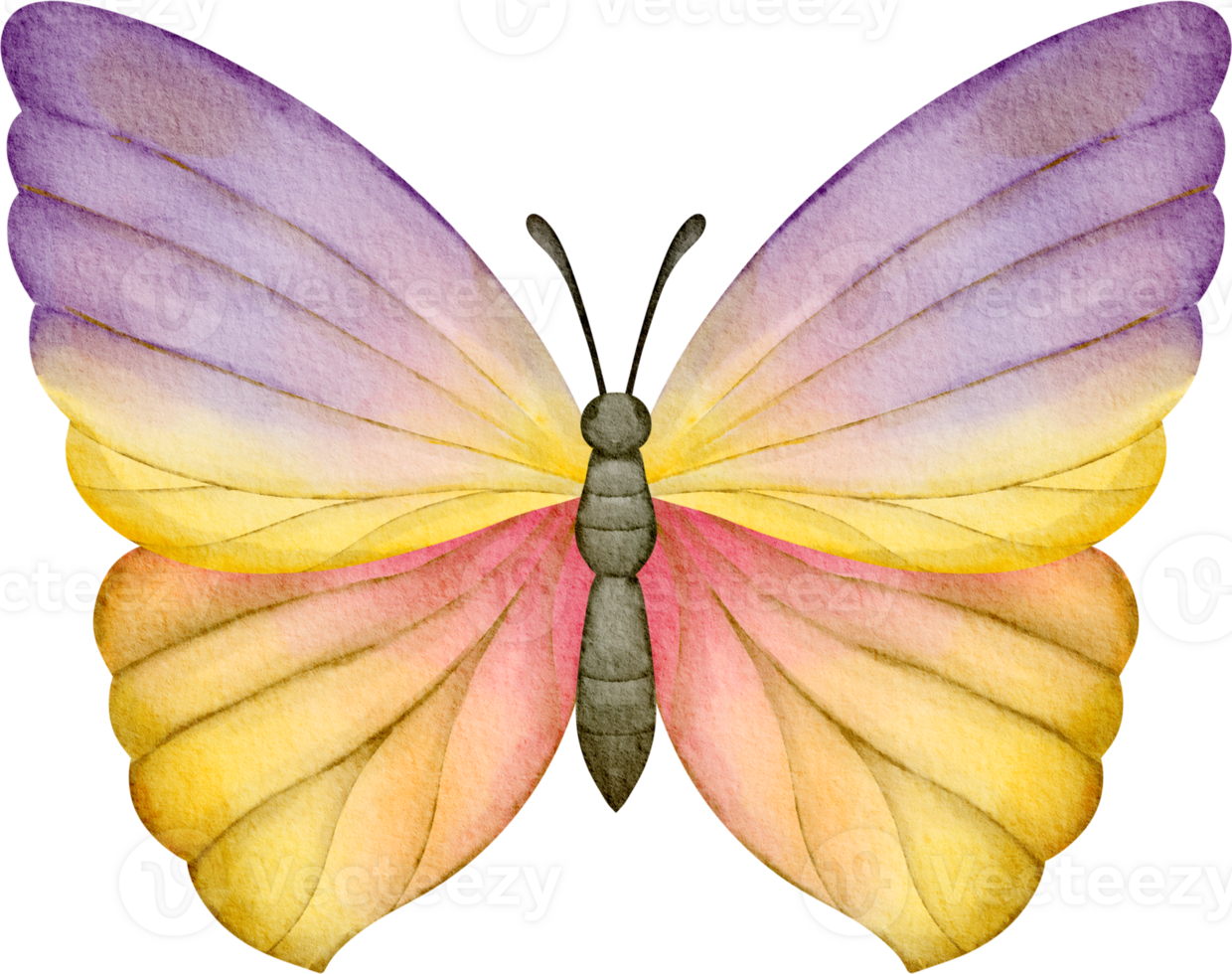 watercolor butterfly clip art png