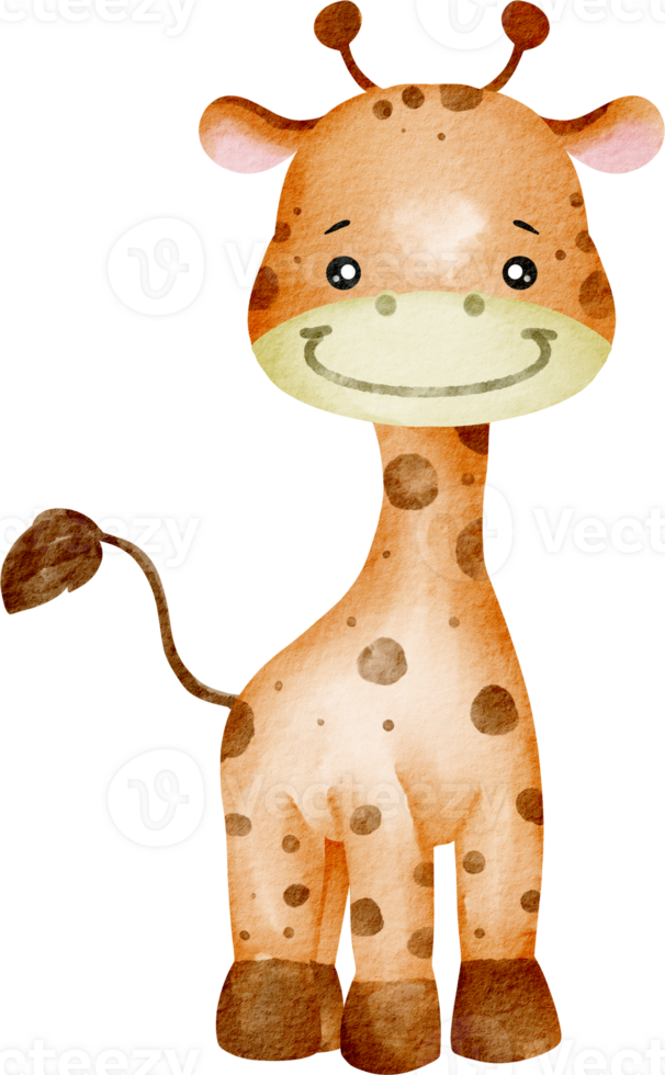 acquerello animale giraffa png