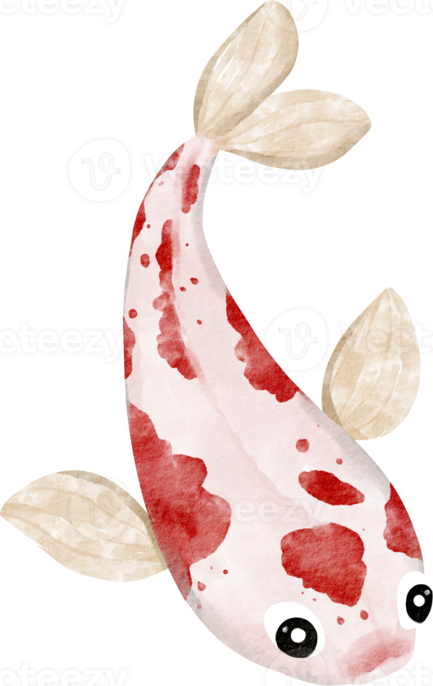 acuarela koi animal mascota png