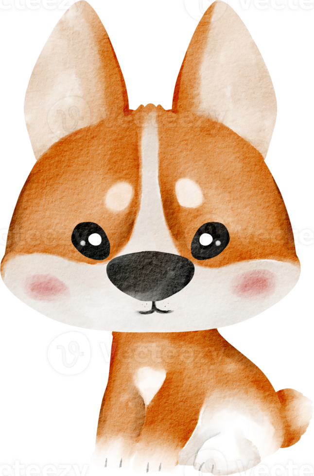 watercolor chiba animal pet png