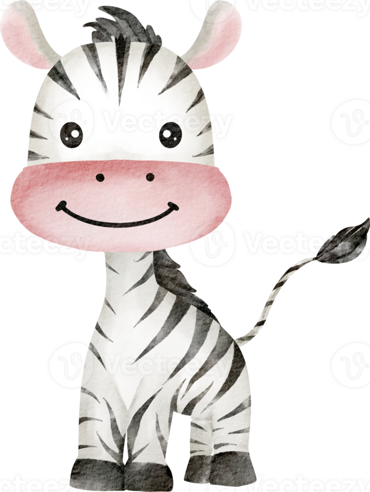 watercolor zebra animal png