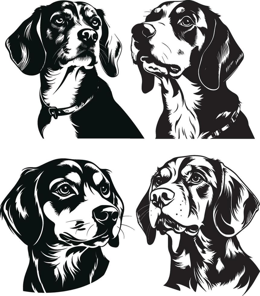 Silhouette beagle dog cute vector design