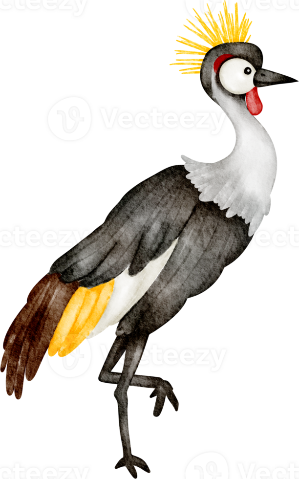 crane bird clip art png